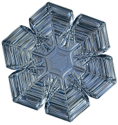 flocon-de-neige 12 liste